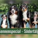 PM Södertälje Sennenspecial / Show information Södertälje