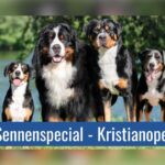 PM och Ringfördelning Kristianopel