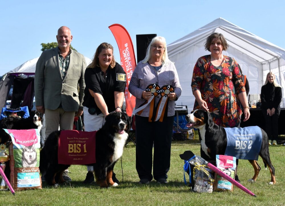 Best In Show Kristianopel 2026