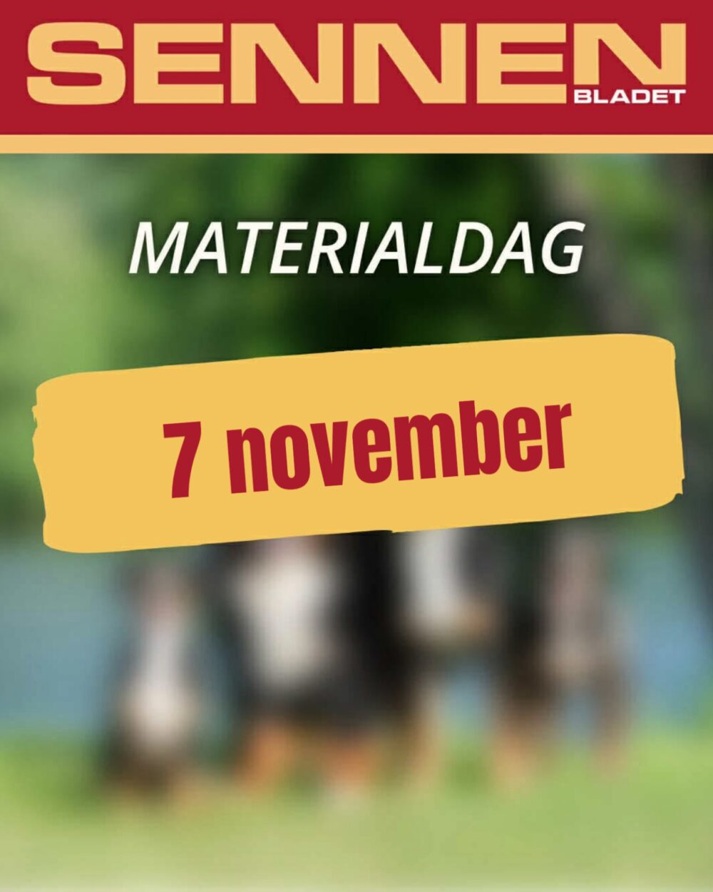 📰🗞️𝚂𝚂𝚑𝙺𝚜 𝚔𝚕𝚞𝚋𝚋𝚝𝚒𝚍𝚗𝚒𝚗𝚐 – 𝚂𝚎𝚗𝚗𝚎𝚗𝚋𝚕𝚊𝚍𝚎𝚝 🗞️📰